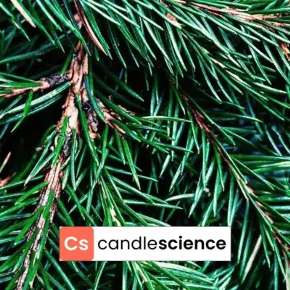 CS - 14 - Fraser Fir - Пихта Фрейзера