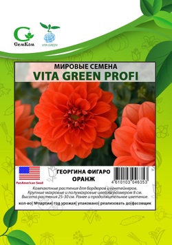 Георгина Фигаро Оранж (100шт) Витагрин Профи