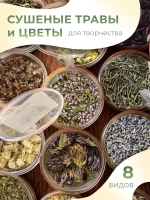 Набор трав и сухоцветов для творчества №2