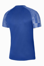 Футболка Nike Dri-FIT Academy Junior