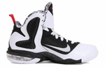 Кроссовки Nike Lebron 9 Freegums 9