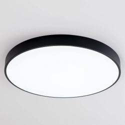 Citilux Купер CL724105G1 LED RGB Светильник с пультом Чёрный