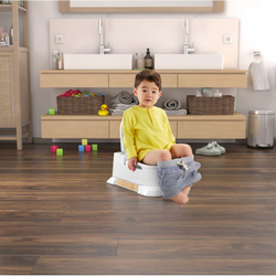 Fisher-Price - Горшок для домашнего декора 4in1 HBX68
