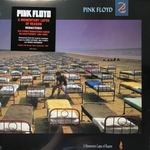 Pink Floyd / A Momentary Lapse Of Reason (LP)