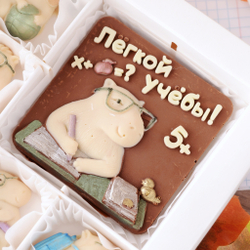 Шоколадный набор "Легкой учебы" #3 / Подарок на 1 сентября