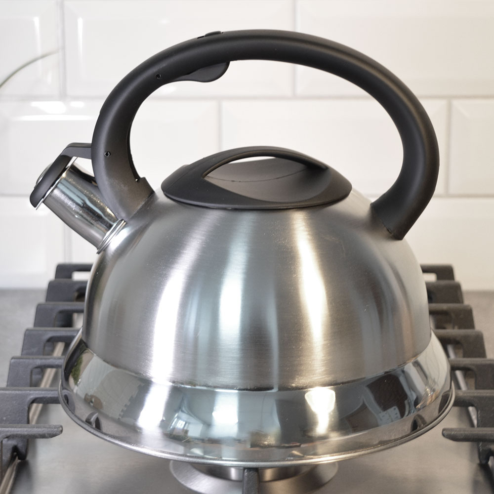 Чайник 2,8л нерж со свистком, матовый, ручка с силиконовым покрытием, "Daniks" MSY-013