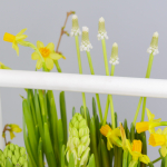 Композиция с первоцветами Белая коробка