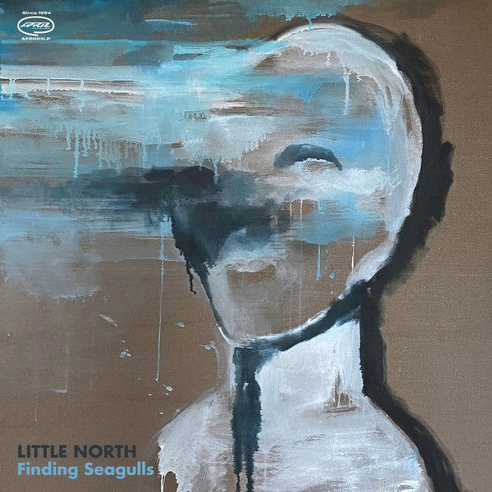 Little North - Finding Seagulls - виниловая пластинка