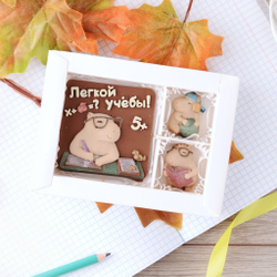 Набор "Легкой учебы" #2