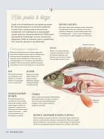 Книга Муми-тролли на рыбалке