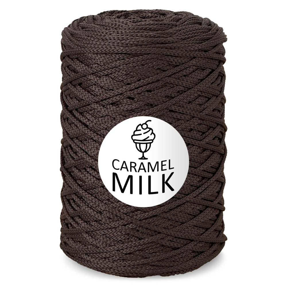 Шнур Caramel Milk, 3мм, 300м, 100% полиэфир (1 шт.)