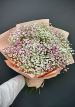 Розовые грёзы