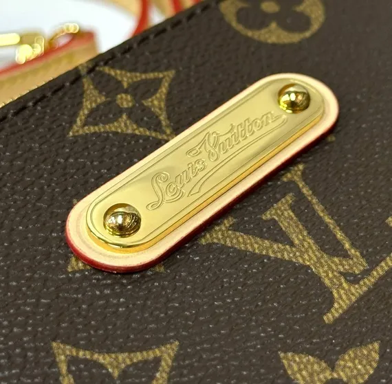 Клатч Louis Vuitton Eva, коричневый