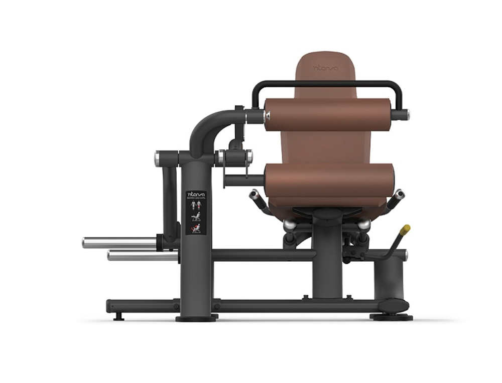 Сгибание ног сидя INTENZA ZL-09