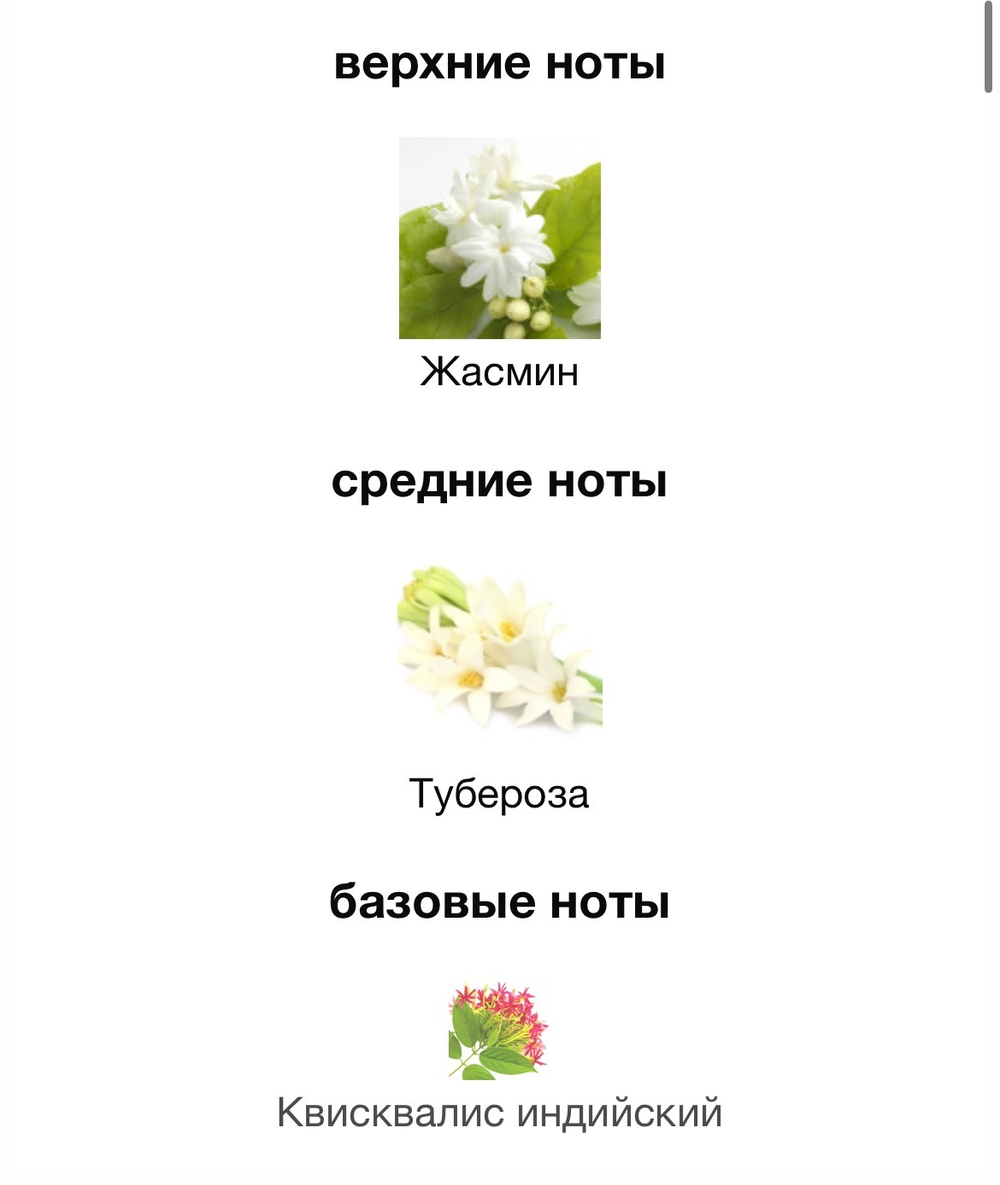 Gucci Bloom Gucci
