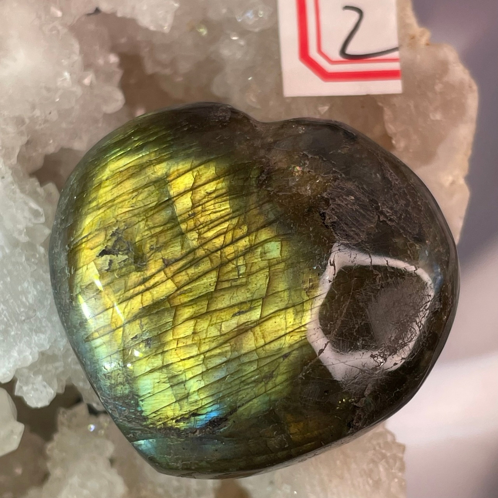 15735 Сердце лабрадор-18