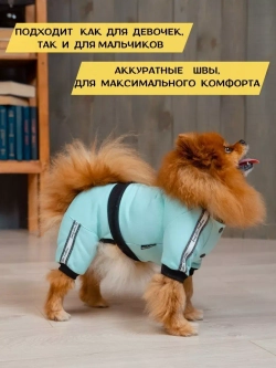 Спортивный комбинезон костюм для собак