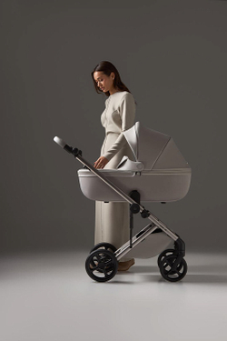 Детская коляска Anex Eli 2 в 1 без рюкзака Santal El-06