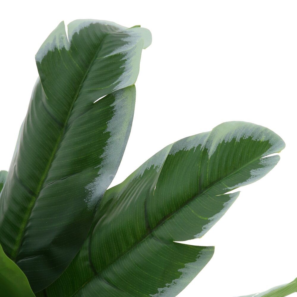 GAEM Цветочная композиция "Фикус", L28 W28 H72 см