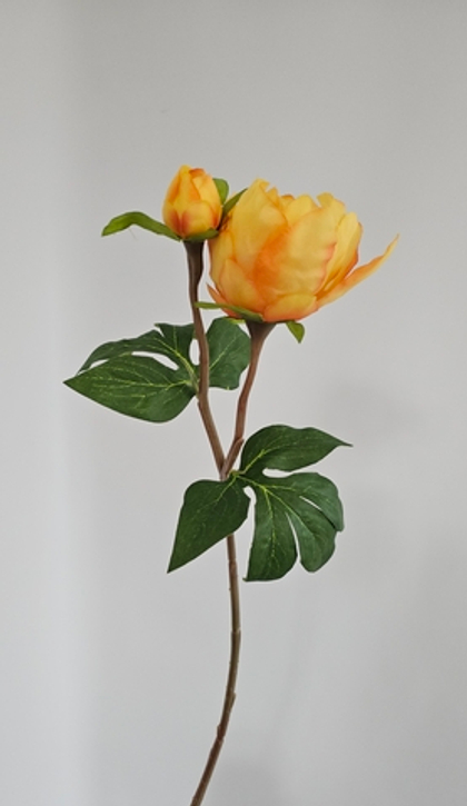 Бутон пиона / Арт 2462