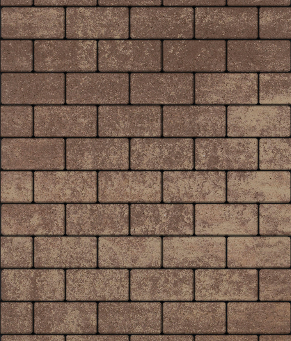 Тротуарная плитка ВЫБОР, форма Прямоугольник 100*200, h=60мм