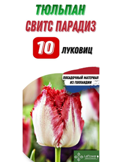 Тюльпан Луковица, Свитс Парадиз, 10шт