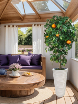 Искусственное дерево Мандарин 170 см в высоком круглом белом кашпо