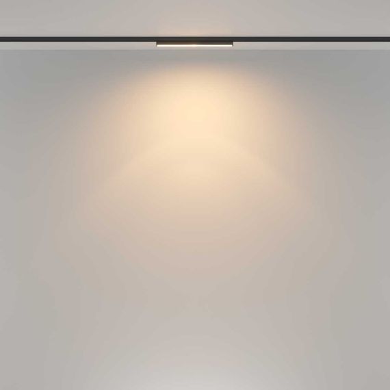 Трековый светильник Maytoni Technical TR183-1-12WTW-B