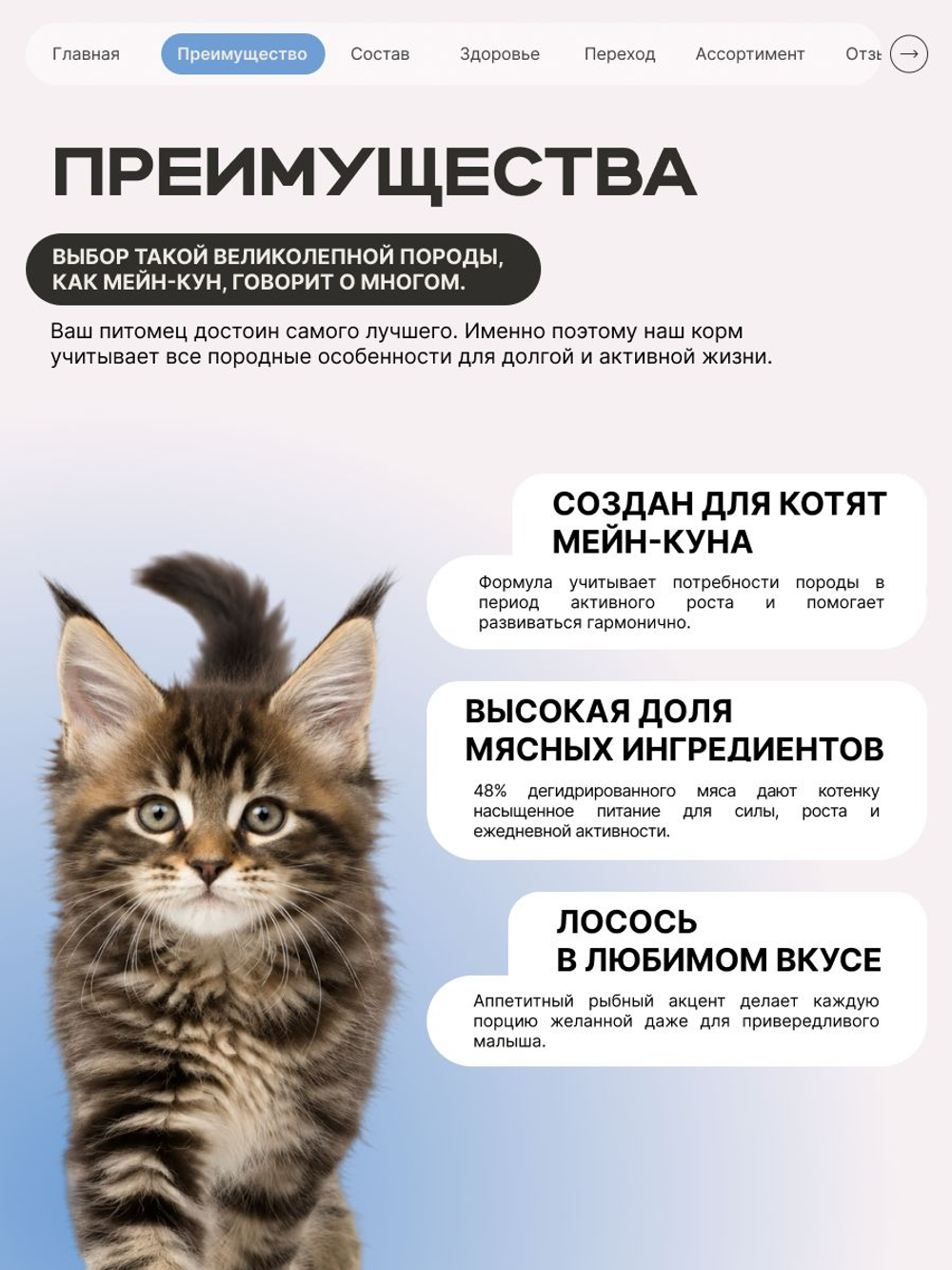 Корм сухой для котят породы Мейн-кун, с лососем, 2 кг, QUATTRO