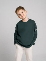 Лонгслив для мальчика на весну