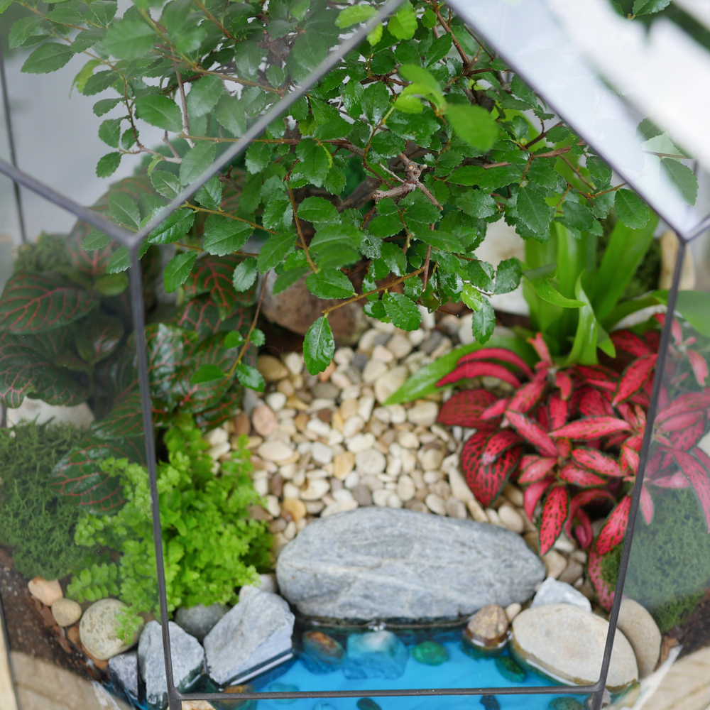 Готовый флорариум бонсай Японский вяз Бонсариум XL с озером