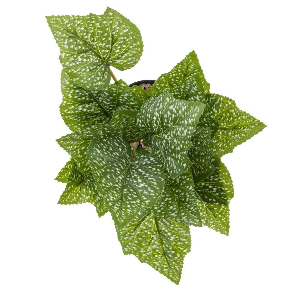 GAEM Цветочная композиция, L25 W25 H30 см, 5в.