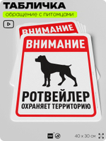 Табличка "Внимание, ротвейлер охраняет территорию" на дверь и забор, для двора, дома, подъезда, 40х30 см, Silver Plane x Айдентика Технолоджи