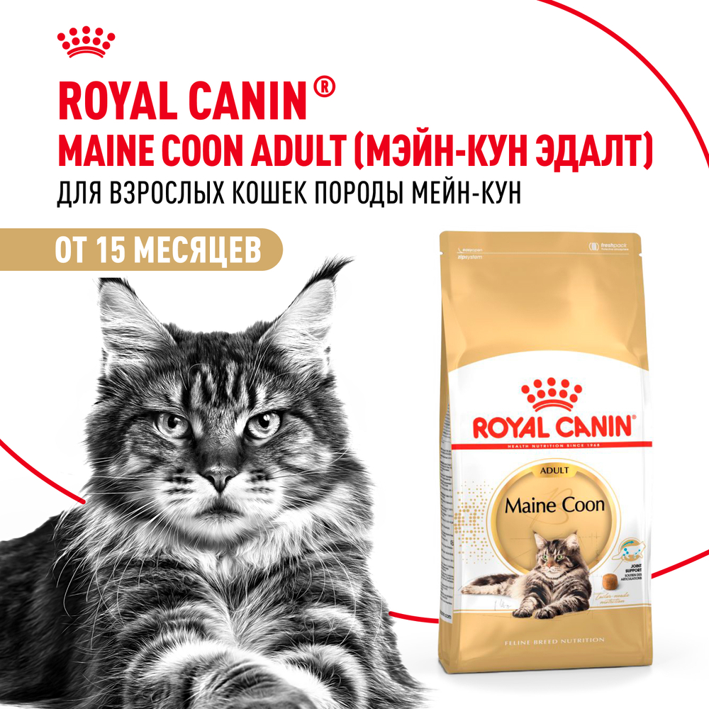 Royal Canin Maine Coon Adult Корм сухой сбалансированный для взрослых кошек породы Мэйн Кун 2 кг