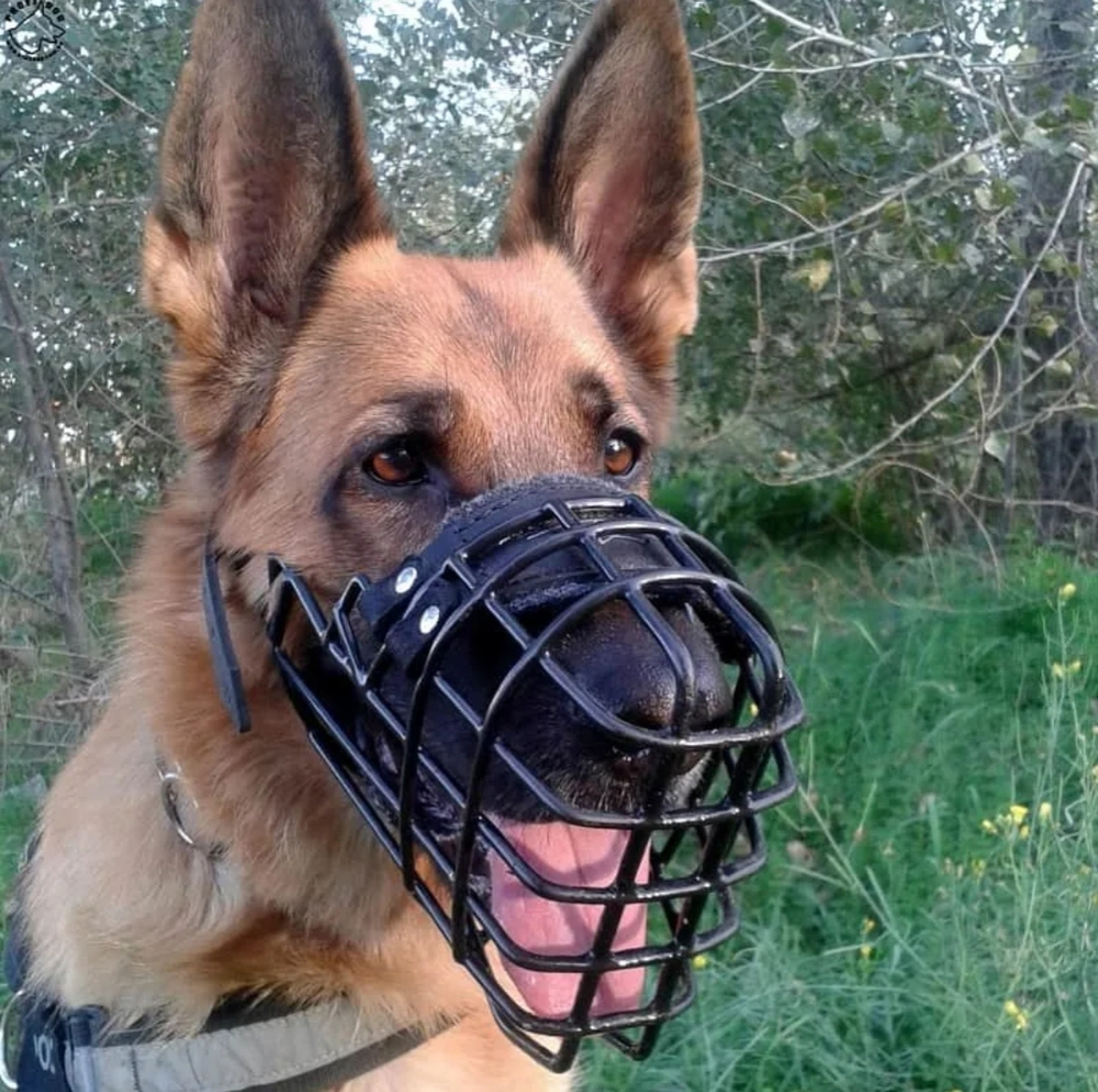 Намордник металлический обливной комфорт от Fordogtrainers