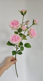 Роза пионовидная / Арт 2364