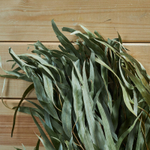 Веник эвкалиптовый_4.jpg