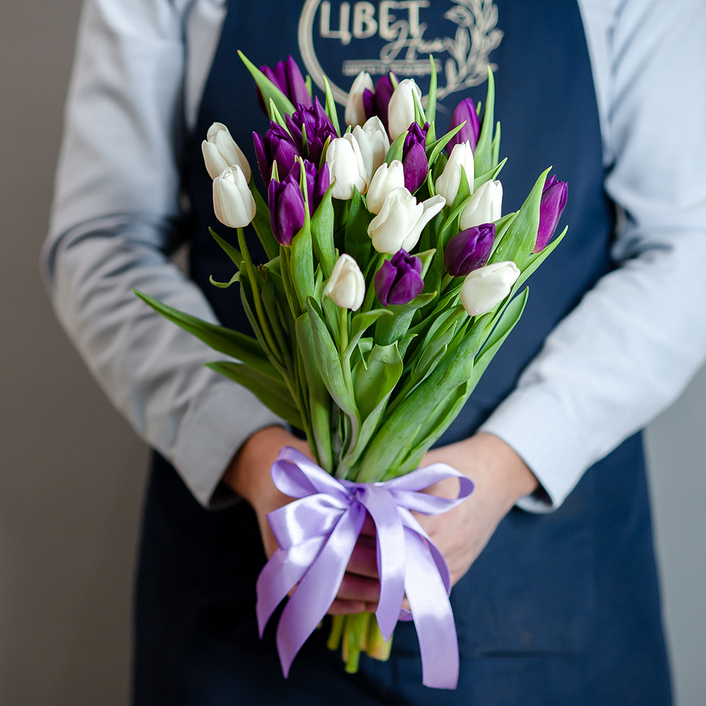 Фиолетовые-белые тюльпаны под  ленту