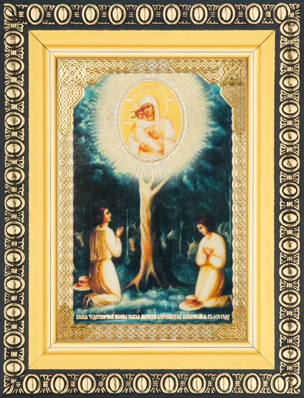 Икона БМ "Жировицкая" 6х9 в раме 8х11
