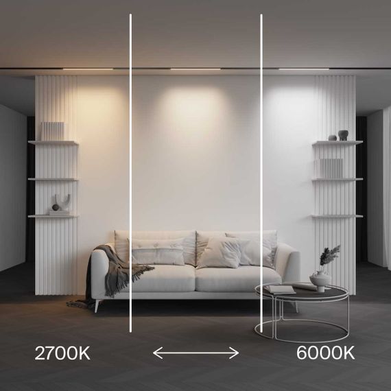 Трековый светильник Maytoni Technical EXILITY X Basis TR240-4-12WTW-DD2-B