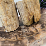 Набор из окаменелого дерева 3 предм Fossil Set NF-62865 поднос 30см*40см