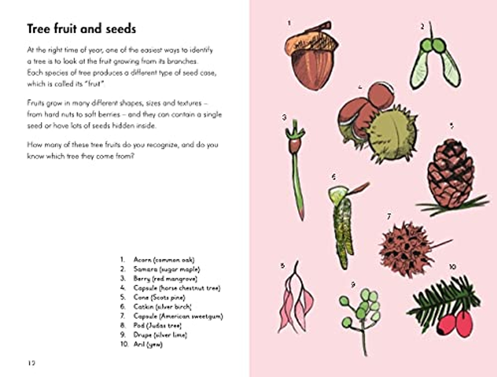 A Ladybird Book: Trees