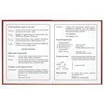 Дневник 1-4 класс 48 л., твердый, ЮНЛАНДИЯ, глянцевая ламинация, с подсказом, "Футбол", 106595