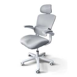 Детское кресло Ergokids Teen (T - 1)