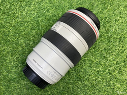 Canon EF 70-300mm 4-5.6L IS USM Покупка/Продажа