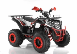 Квадроцикл Wels Evo X2 200cc