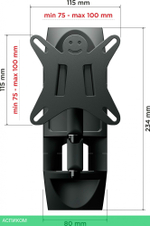 Кронштейн Holder LCDS-5039 черный