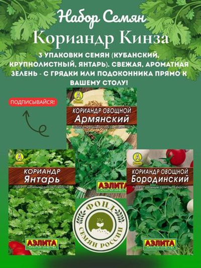 Кориандр (кинза) 3 сорта, 3 упаковки, семена 9 гр.