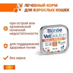 Влажный корм диетический Monge VetSolution Cat Renal and Oxalate Ренал и Оксалат для кошек при ХПН и профилактике образования оксалатов 100 г