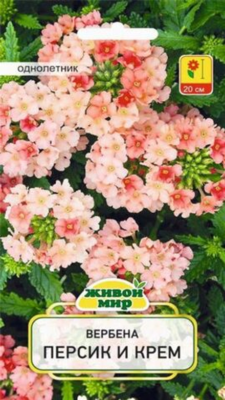 Bepбeнa "ЖМ. Пepcик и кpeм" 0,1г., Польша.